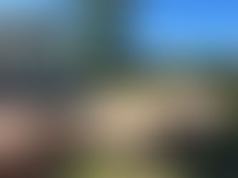 What Does Brick and Masonry Work Cost? Both Repair and Install