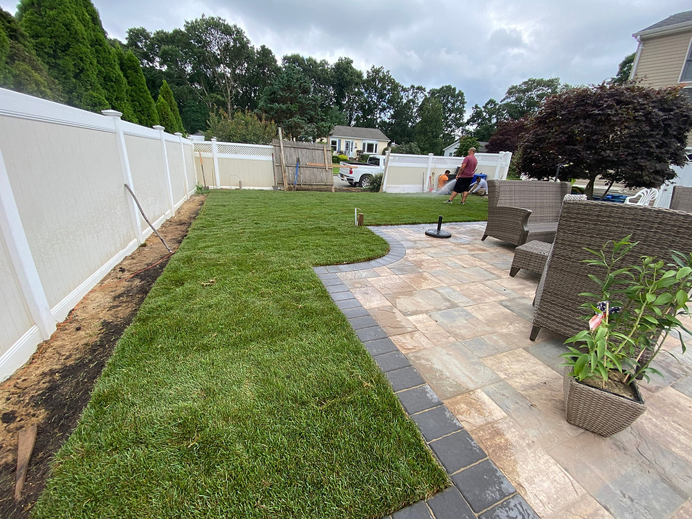 What is the best grass seed for New York?