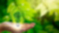 lightbulb tree_edited.jpg