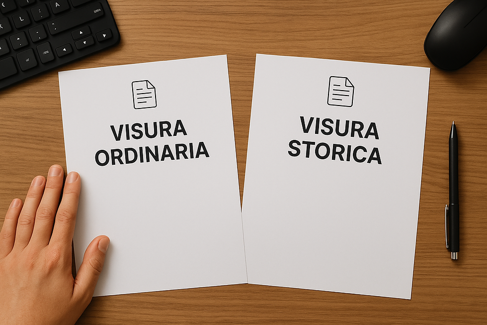 visura