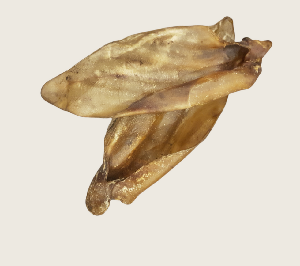Thumbnail: Buffalo ears 
