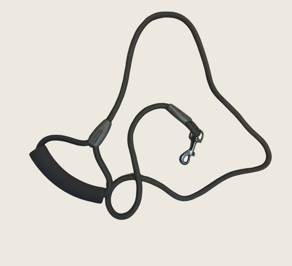 Thumbnail: Bright cord small dogs lead