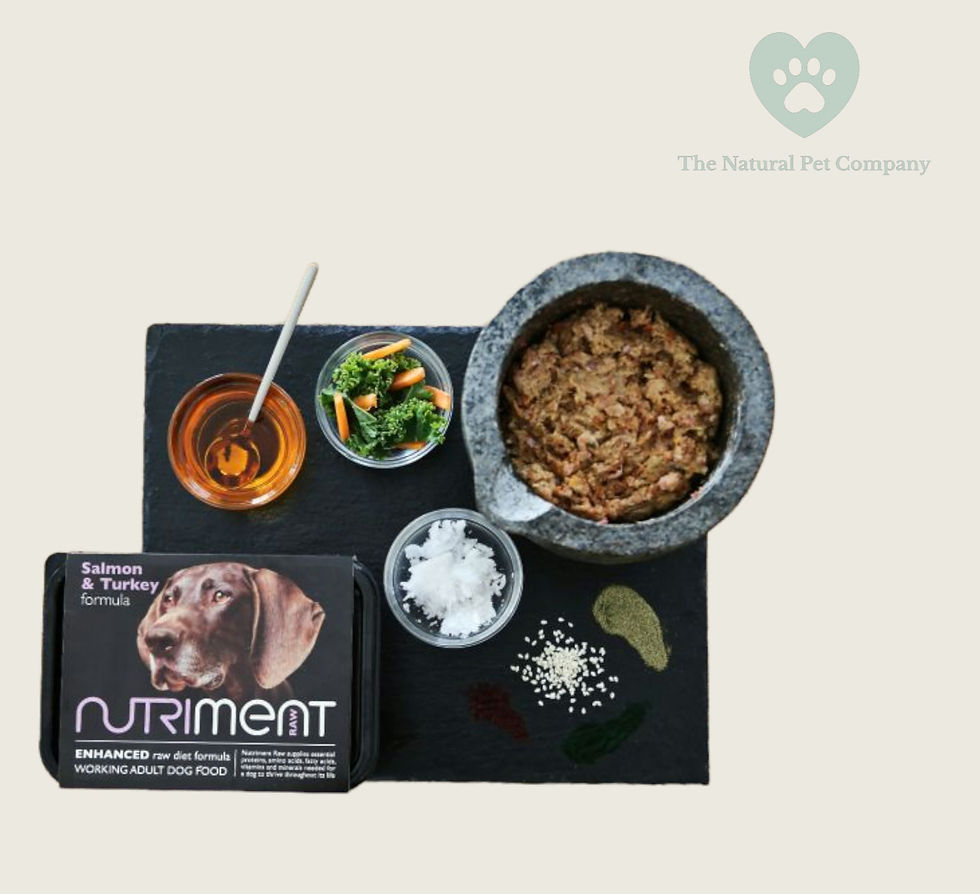 Nutriment Salmon & Turkey