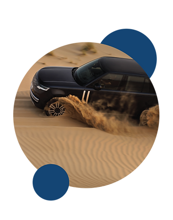 Web Icons Wix [Recovered].png