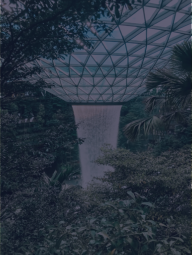 travel bg.png