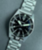 Narwhal Numbers Bezel No Date