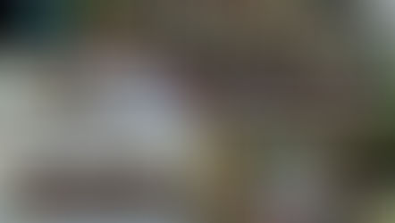 From The Inside Out – MSS Camp 2015