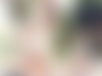 Story 20: Fork Yuen Lin