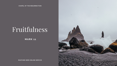 MSS: Fruitfulness (Mark 11) - 11 October 2020