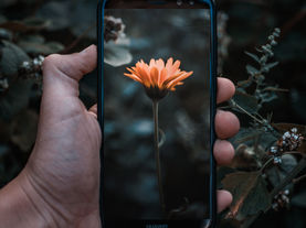 Et si on se faisait une Digital Détox ? 