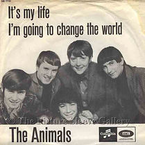 Animals It's My Life