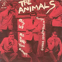 Animals Baby Let Me Take You Home Sweden