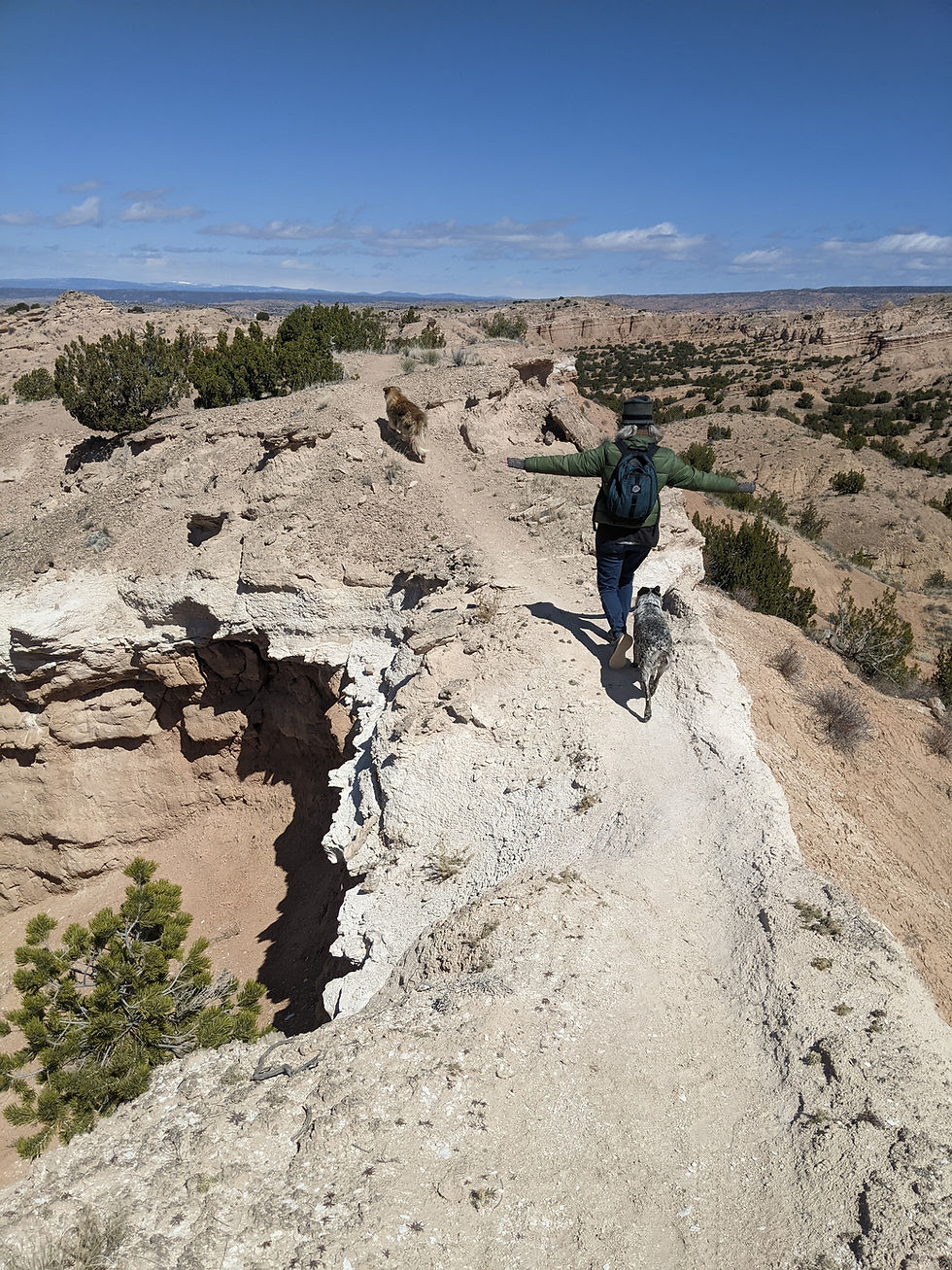 Get Lost in the Wilderness: A Mid-life Initiation