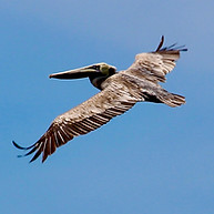IMG_5791.JPG