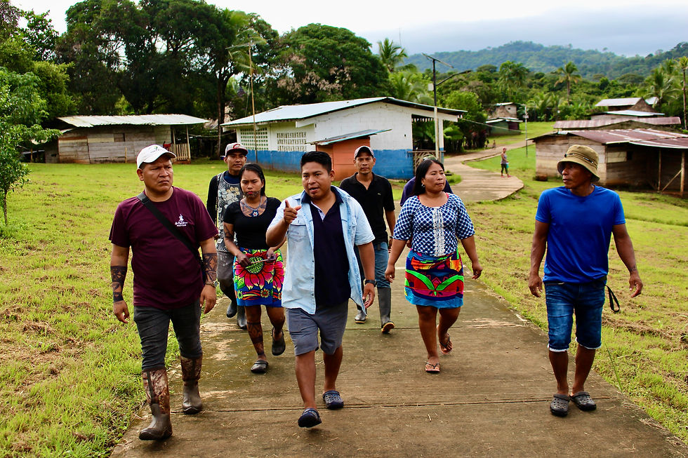 indigenous land rights