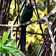IMG_5569.JPG