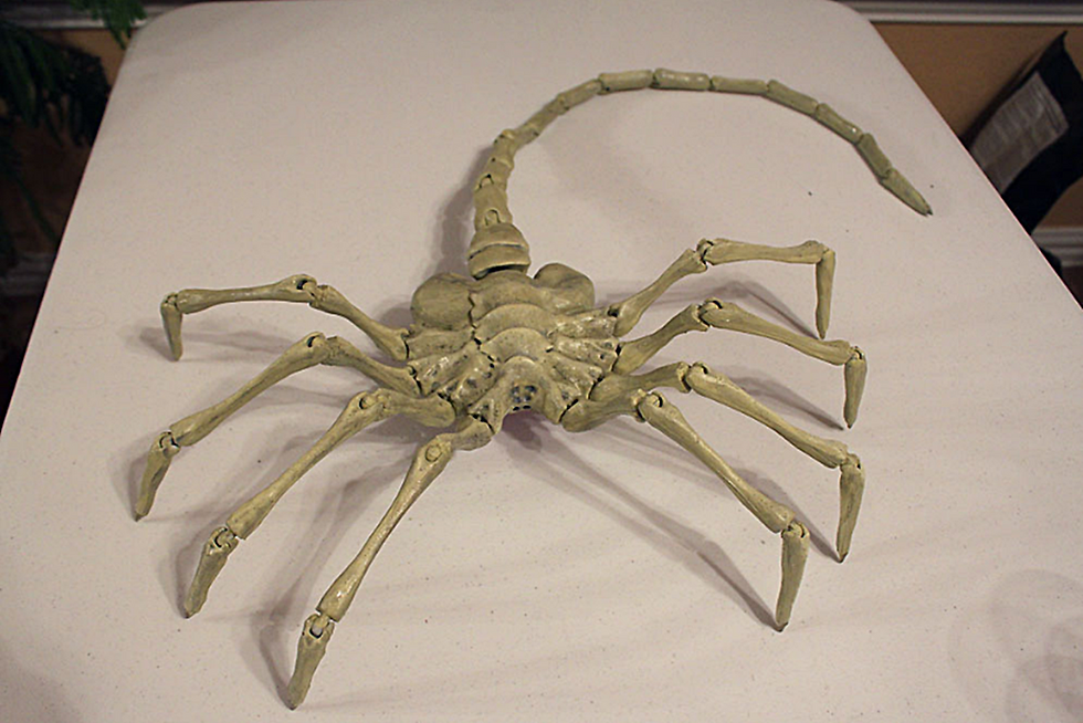Küçük resim: Alien Agisis Facehugger Boyalı Figür ( Gerçek Boy )