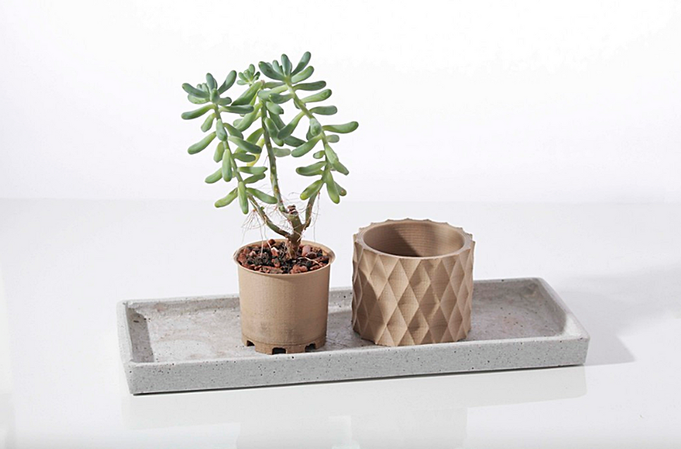 Küçük resim: 3'lü Sukulent Saksı (10 Cm Çap)