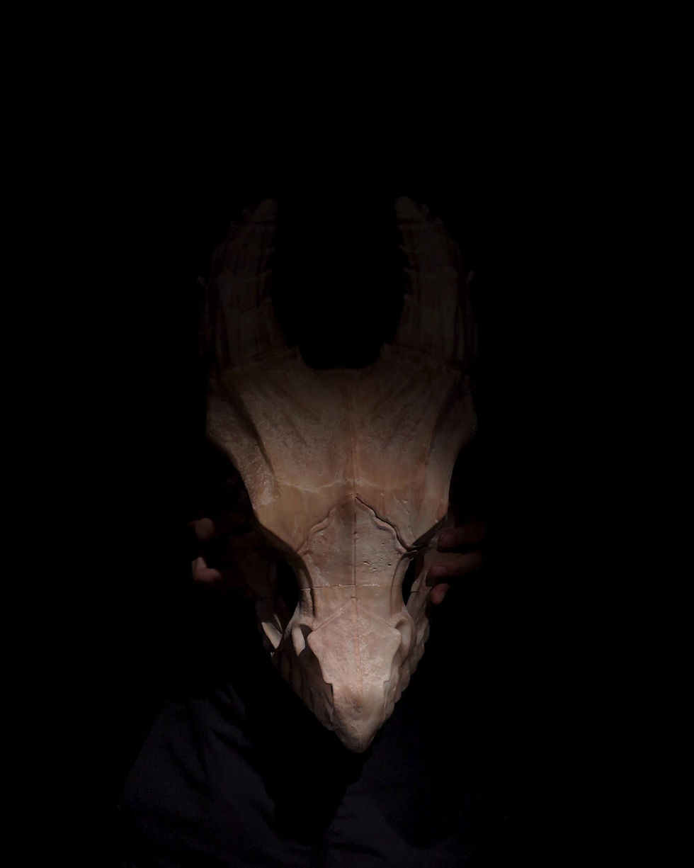 Küçük resim: Epic Dragon Dinazor Kafatası Masaüstü Dekoratif Obje Büyük Boy