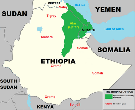 The Curious Case of the Afar People, Unexpected Actors in the Conflict in Northern Ethiopia