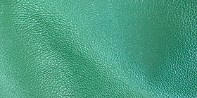 image00002.jpeg