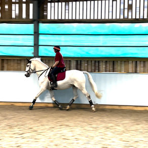 Sam and her horse bear have provided us with a brilliant before and after of their first FreeSpace..