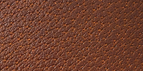 image00002.jpeg