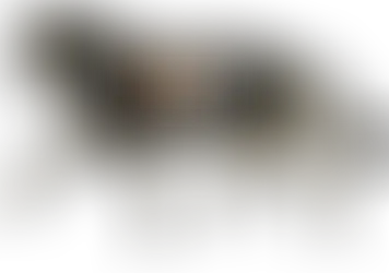 WOW Sponsors of the Saddle Research Trust