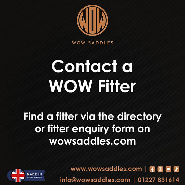 2. How to get a wow saddle square (no numbers).jpg