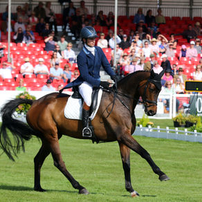 10 things to do at Badminton Horse Trials