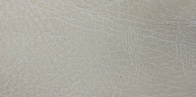 image00002.jpeg