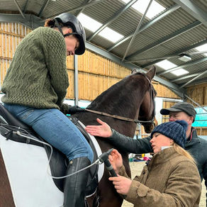 WOW Public Training Courses 2026