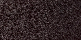 image00002.jpeg