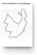 Copenhagen Half marathon