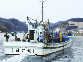 サイトをリニューアルしました