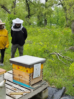Beekeeper Spotlight: Rick & The Kettle & Stony Point First Nations Bee Group