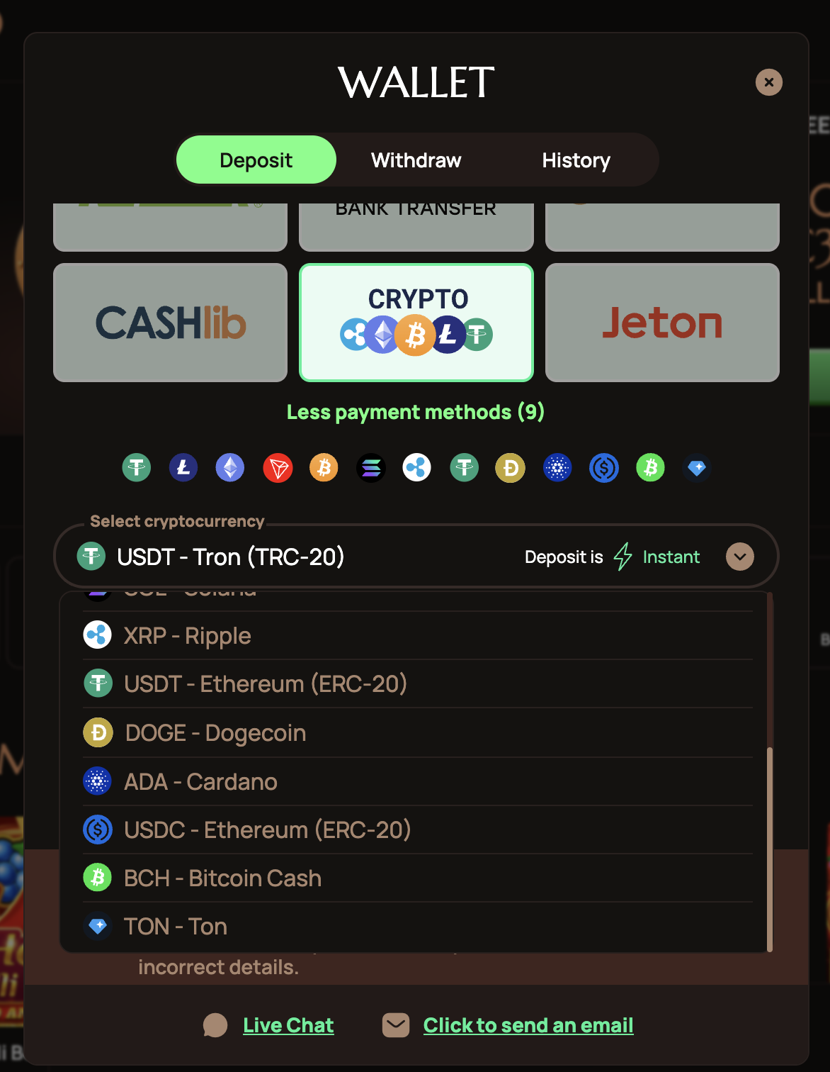Ritzo krüptosissemaksete loendi alumine osa: USDT ERC-20, DOGE, ADA, USDC ERC-20, BCH ja TON