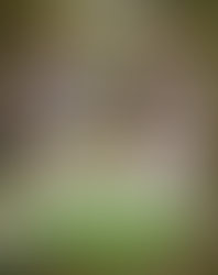 07 de Abril - Dia mundial da saúde