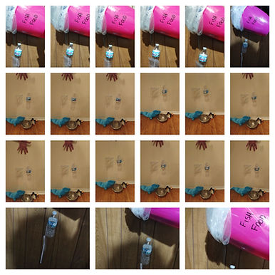 BeFunky-collage 6- Defy gravity.jpg