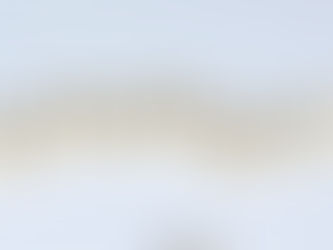 T.S.A. : quels sont les signes du trouble d’Asperger chez l’adulte ?