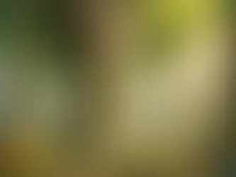「直感強化」レポート使用例
