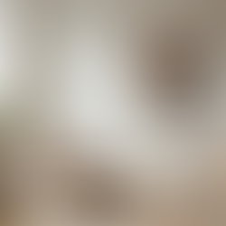 Why Ali's Studio Feedback Matters: A Heartfelt Look at Ali's Art Studio