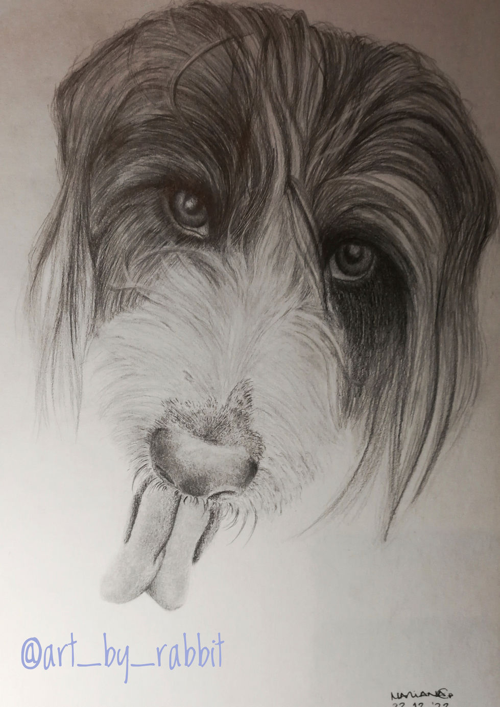 Cão - Bono