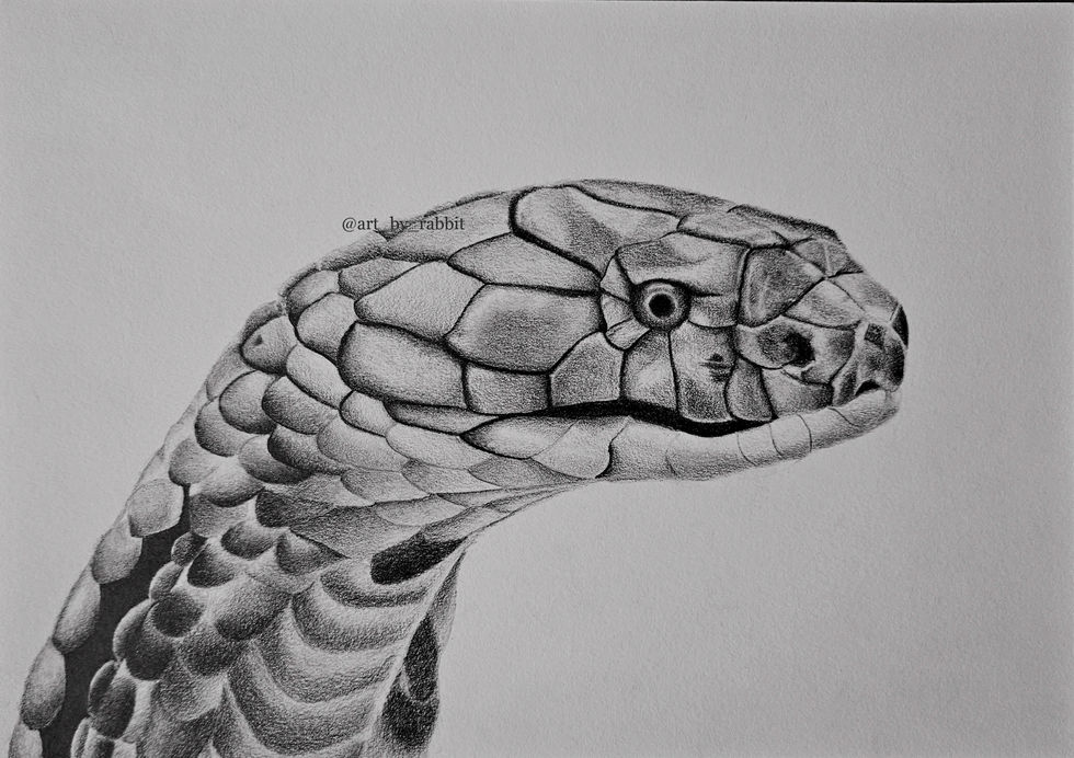 Cobra Real