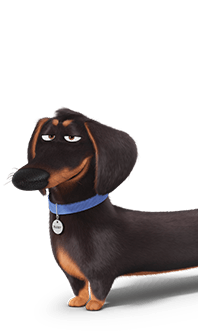 Buddy_the_secret_life_of_pets