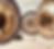 Gong Practitioner Training