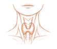NUSSBAUMER HEALTH ICON 5