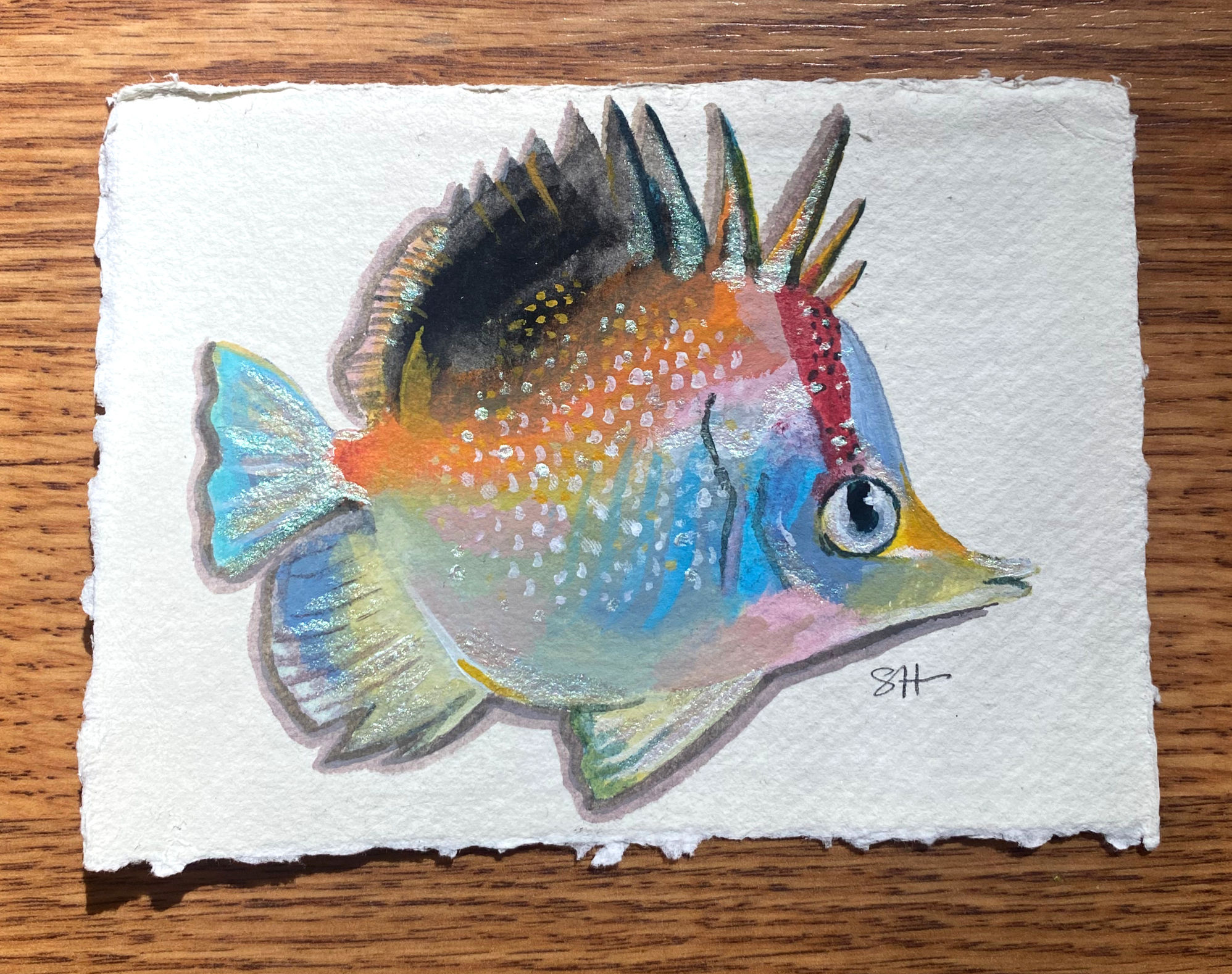 longnose atlantic butterflyfish