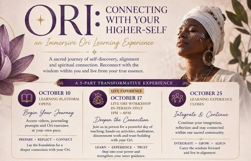 description of the program
