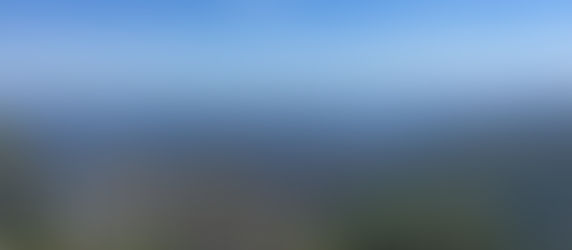 Mt Bogong Summit Hike